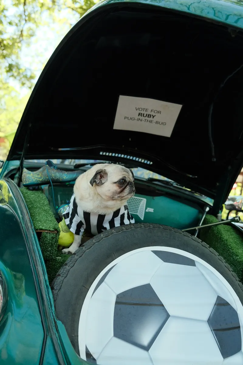 Glovebox Gallery Photograph
